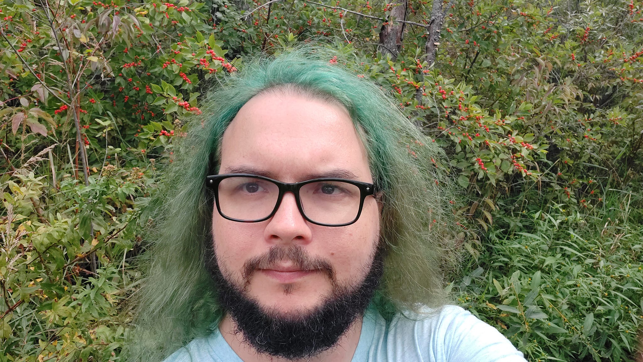 A man with green hair stands in front of a bush covered in red barries